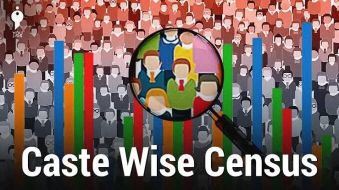 Caste Wise Census